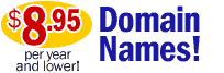 Buy a Domain Name